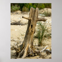 Affiche de bois de flottage