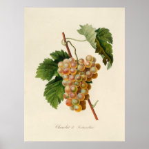 Affiche de Chasselat De Fontainebleau
