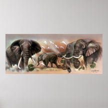 Affiche de collection d'éléphant