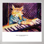 affiche de couleur de chat de clavier