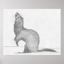 Affiche de dessin de furet de "Dimitri"