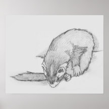 Affiche de dessin de furet "de roue de furet"