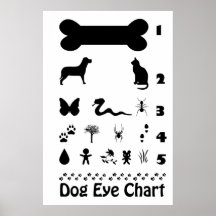 Affiche de diagramme d'oeil de chien
