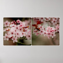 Affiche de diptyque de Sakura