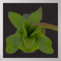 Affiche de fleur de feuille