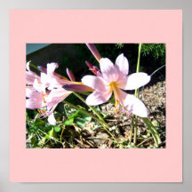Affiche de fleurs