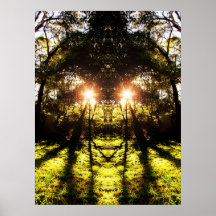 Affiche de forêt d'AURUS de DMT '