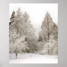 Affiche de forêt d'hiver d'impression d'art du pay