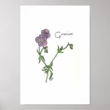 Affiche de géranium