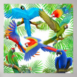 Affiche de jungle d'ara