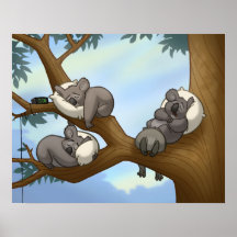 Affiche de koala de sommeil