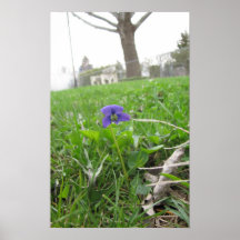 Affiche de la perspective d'une fleur