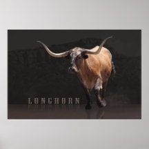Affiche de la puissance H de Longhorn