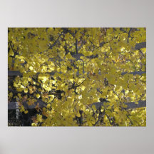 Affiche de l'arbre de bouleau 01