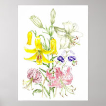 Affiche de "Lillies"