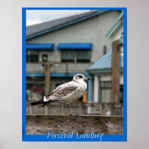 Affiche de mouette d'atterrissage de Perceval