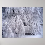 Affiche de neige en avril