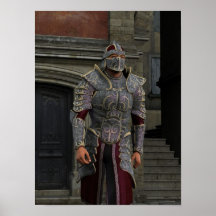 Affiche de Paladin