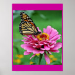 Affiche de papillon