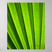 Affiche de paume