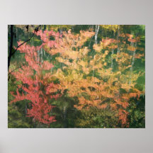 Affiche de paysage d'automne
