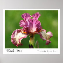 Affiche de photographie d'iris "de vedette du rock