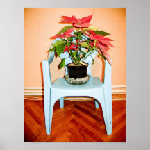 Affiche de pot de fleur