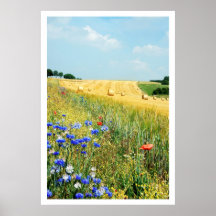 affiche de pré d'été de 8,99