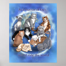 Affiche de règle de chats