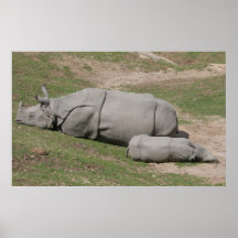 Affiche de rhinocéros et de bébé