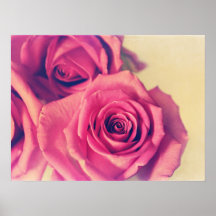 Affiche de rose de rose