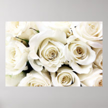 Affiche de roses blancs