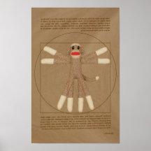 Affiche de singe de Vitruvian