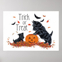 Affiche de Terrier d'écossais