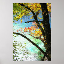 affiche de toile de natures de 14,95
