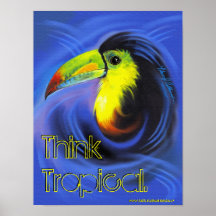 Affiche de toucan d'Aruba
