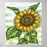 affiche de tournesol