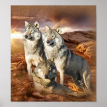 Affiche de trio de loup