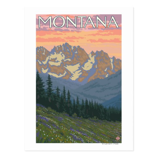 Affiche de voyage de FlowersMontanaVintage de ress Cartes Postales