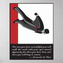 Affiche de Wingsuit SkyDive