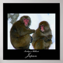 Affiche des singes au Hokkaido, Japon