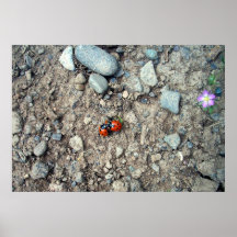 Affiche d'étreinte de groupe de coccinelle