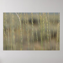 affiche d'herbe