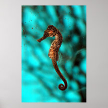 Affiche d'hippocampe