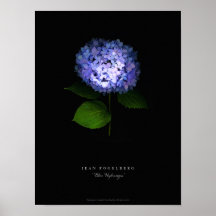 Affiche "d'hortensia bleu"