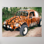 Affiche d'insecte de baja de tigre