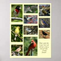 Affiche d'oiseau