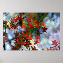 Affiche douce d'automne