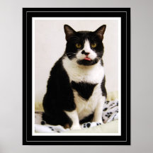 Affiche drôle de chat de smoking
