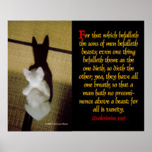 Affiche Ecclesiastes3-19